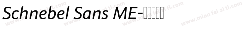 Schnebel Sans ME字体转换
